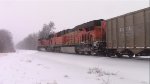 BNSF coal train